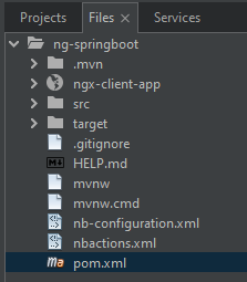 ng-springboot