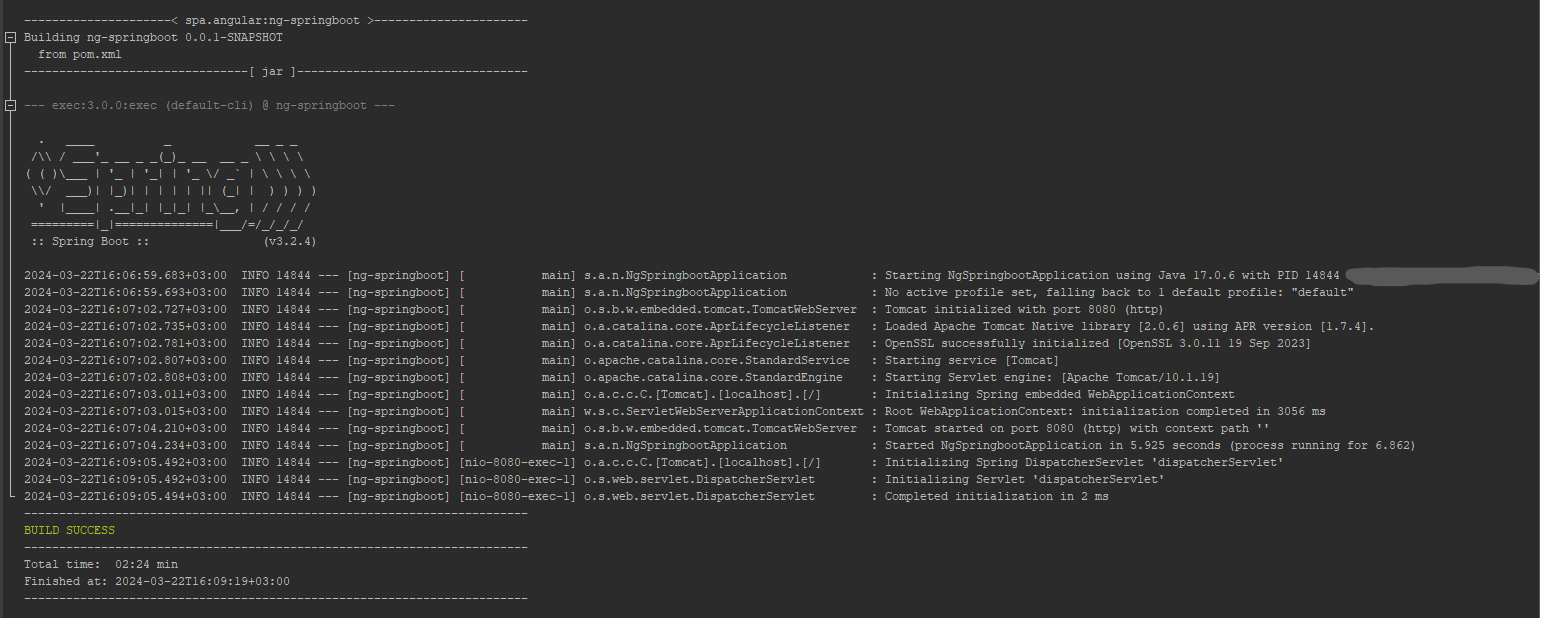 ng-springboot